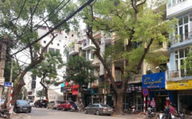 BÁN NHÀ MẶT PHỐ LÊ VĂN HƯU , LÔ GÓC, DT 40M2, MẶT TIỀN 8M, GIÁ 29.5 TỶ.